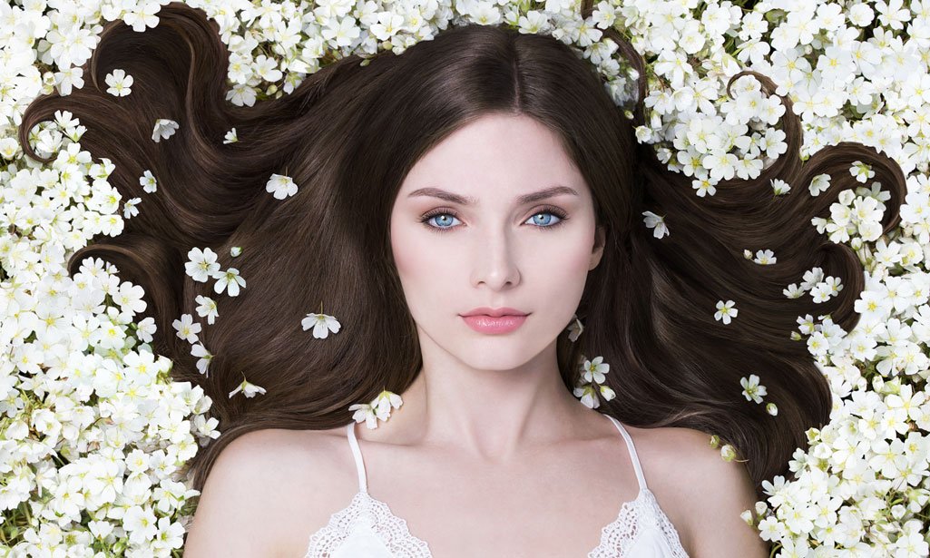 3D FlipBook Archive Natural Plant Products, LLC