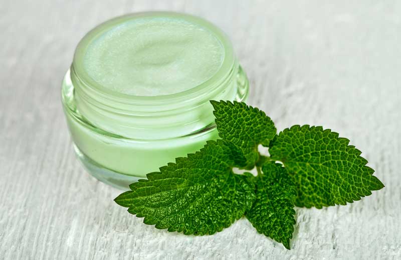 Vanilla Mint Lip Scrub