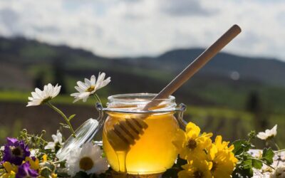 Meadowfoam Honey Oregon: Pure Farmer-Owned Honey from Willamette Valley Bees