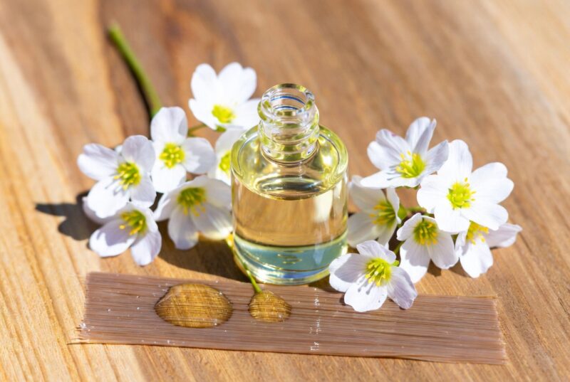 Clear glass bottle of golden meadowfoam seed oil surrounded by white meadowfoam flowers and healthy hair strand on wooden background, natural botanical hair oil from Oregon