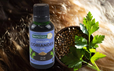 Best Hair Oils for Frizz Control: Discover Oregon Coriander Oil