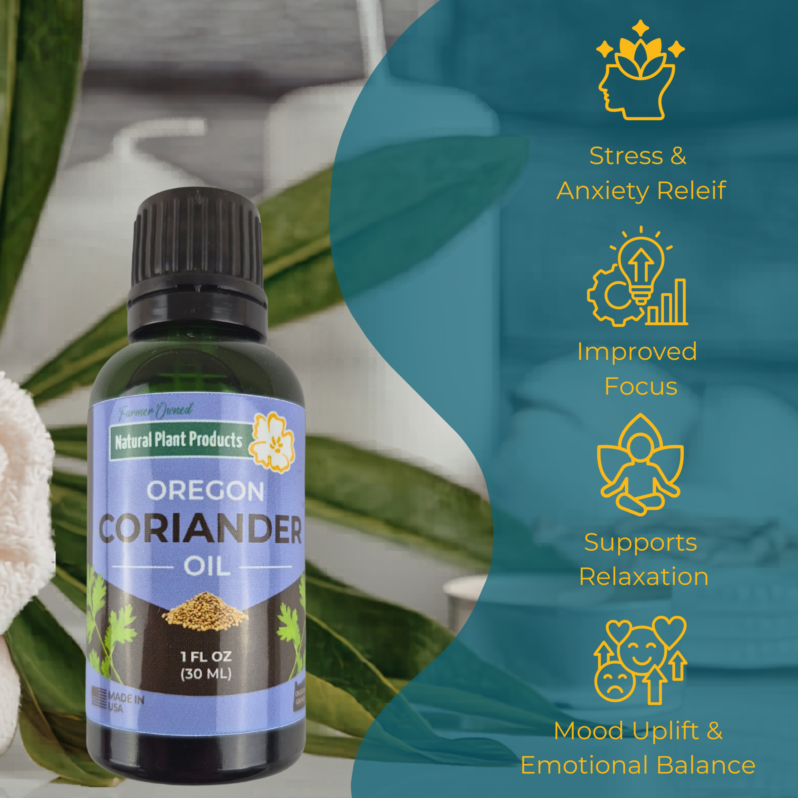 Oregon Coriander Oil – Image 3