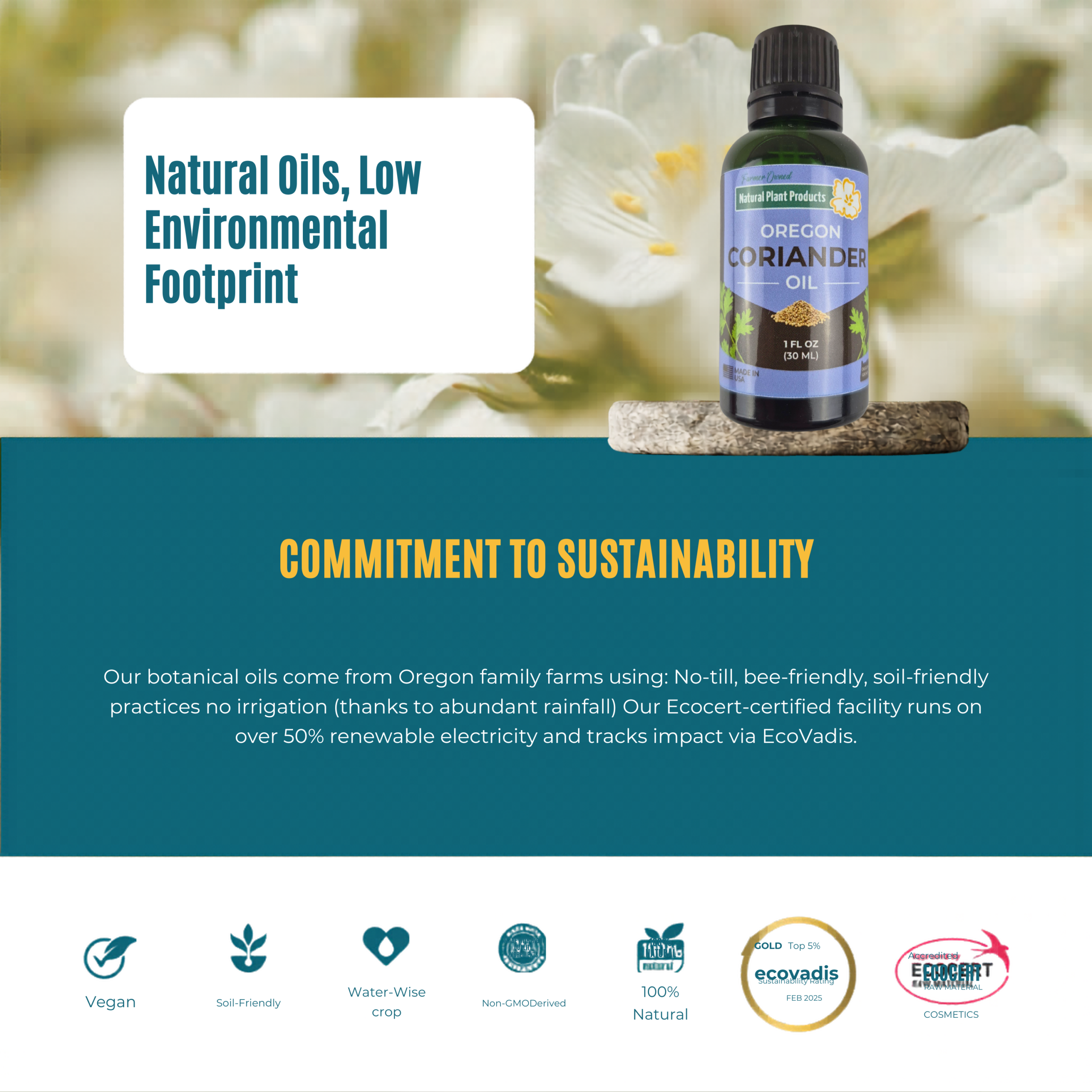 Oregon Coriander Oil – Image 7