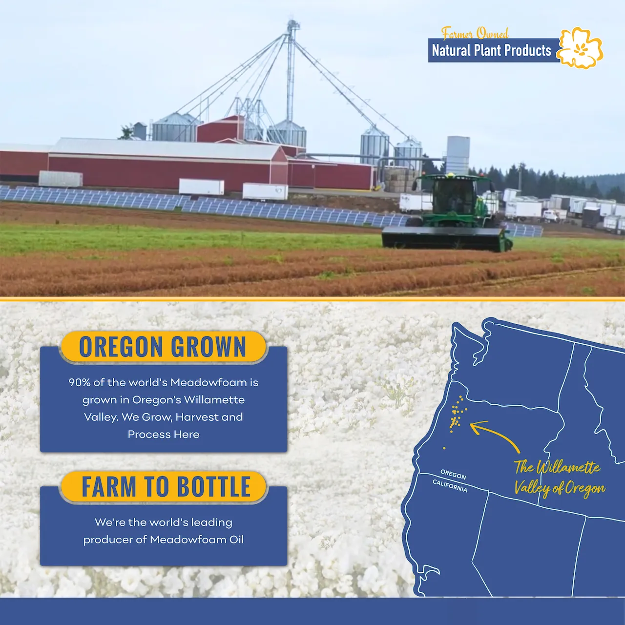 Meadowfoam CP - Gallery 2