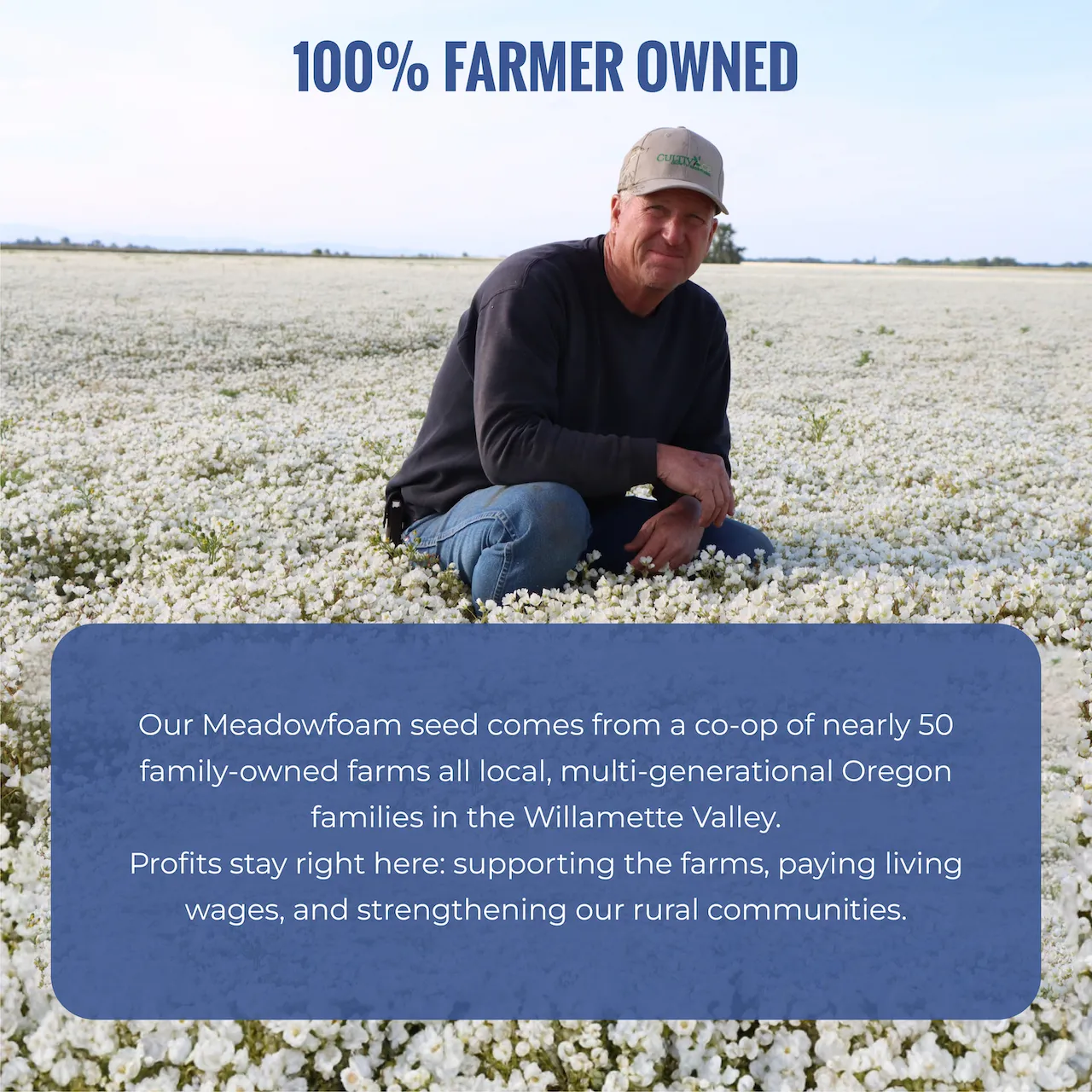 Meadowfoam CP - Gallery 7