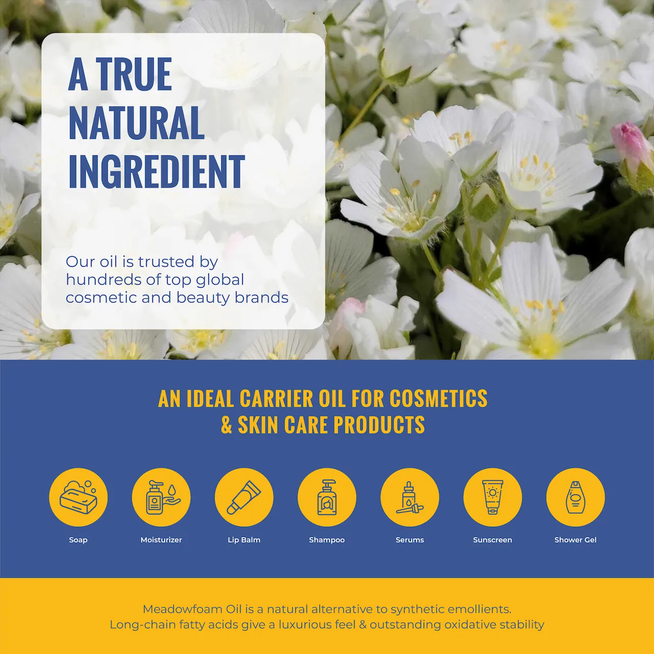 Meadowfoam CP - Gallery 8