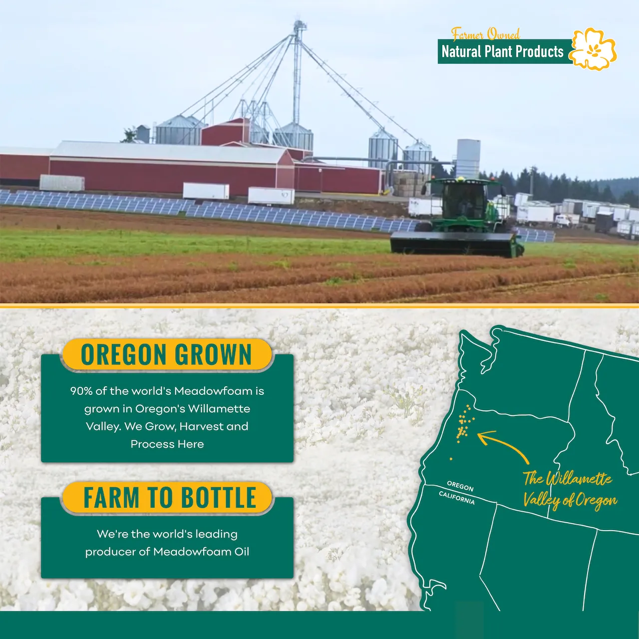 Meadowfoam XPR - Gallery 2