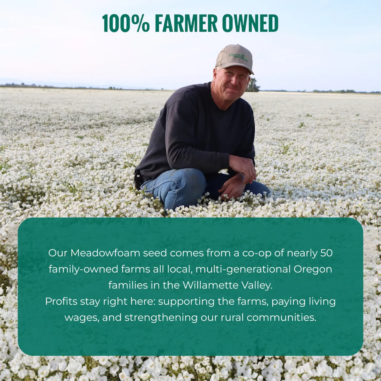 Meadowfoam XPR - Gallery 7