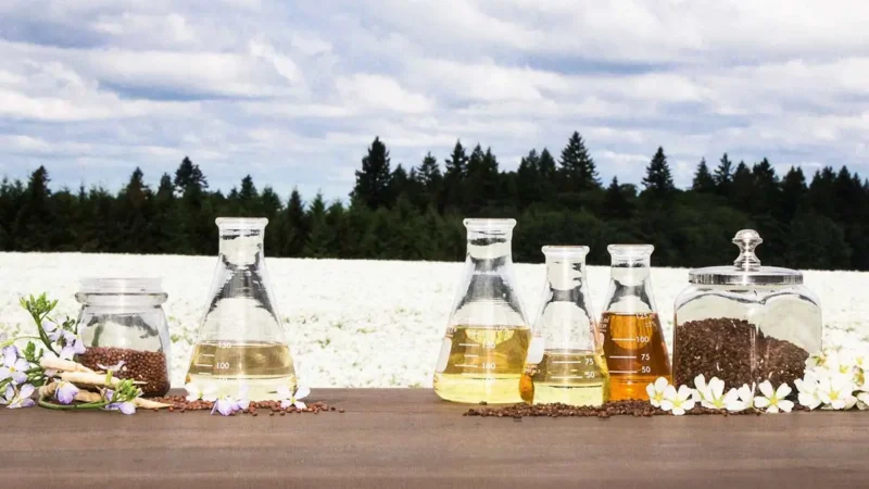 Meadowfoam Seed Oil, Daikon Seed Oil and other natural botanical oils from Oregon Willamette Valley farms, sustainable farmer-owned ingredients for best natural cuticle oil and skincare