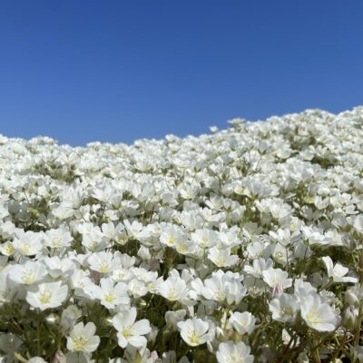 選択番号の画像 13