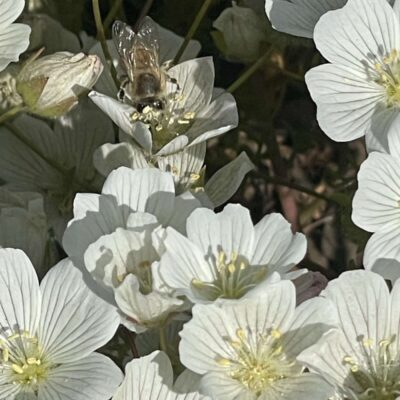 選択番号の画像 45