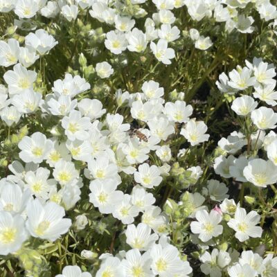 選択番号の画像 21