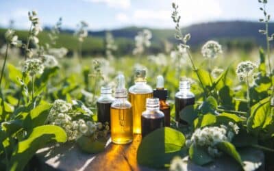 Best Eco Friendly Skincare Routine: Natural Oils for Dry, Sensitive Skin