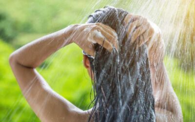 美しいビオーム・シャンプーバー