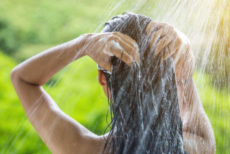 Two people inspecting meadowfoam flowers in a field to assess plant growth and seed quality