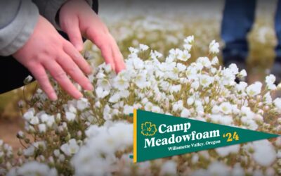 Camp Meadowfoam 2024 – An In-Depth Look at Our Products & Processes