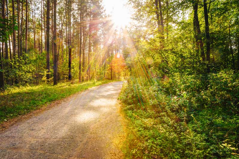 Brightening Booster Serum