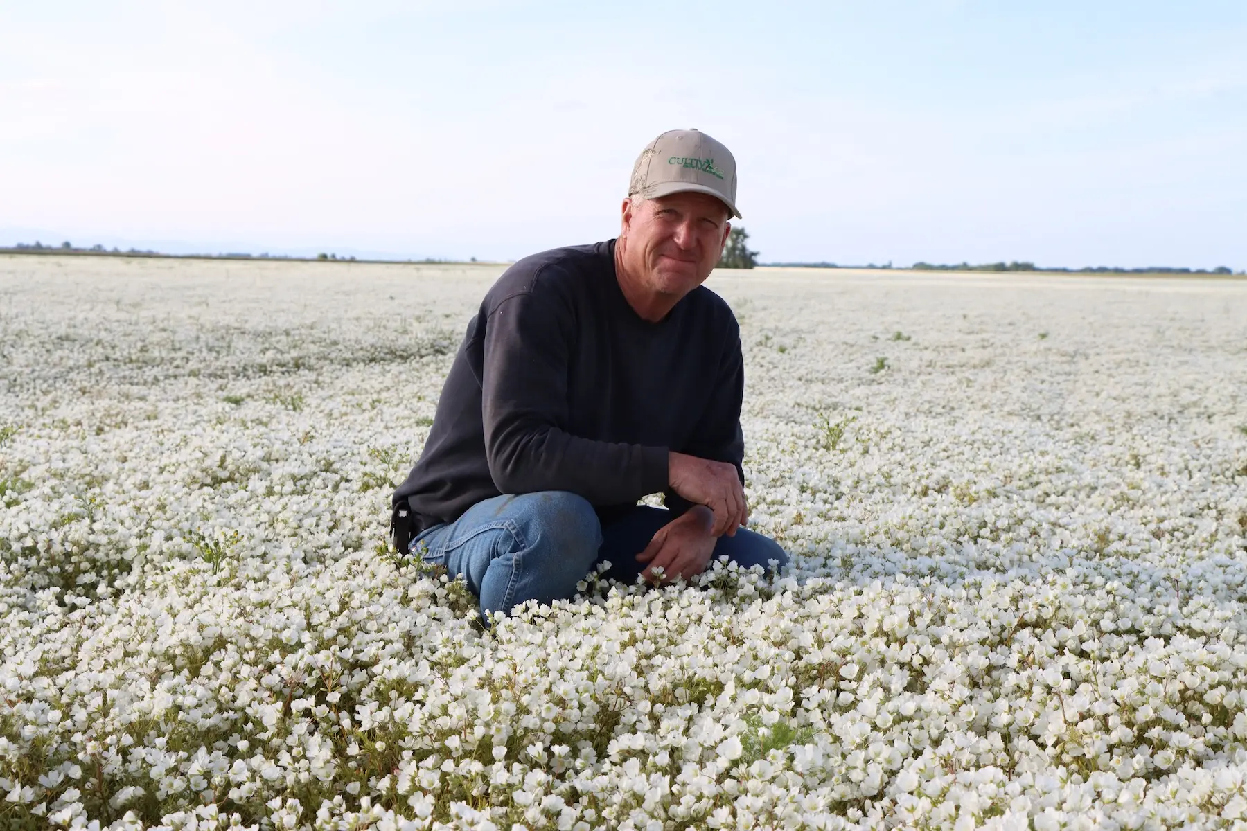 Person kneeling in a field of blooming white meadowfoam flowers, representing sustainable and farmer-owned seed oil production