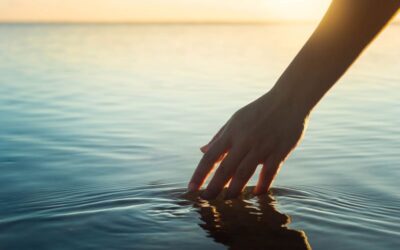 スプリーム・ハイドレーション・ハンドクリーム