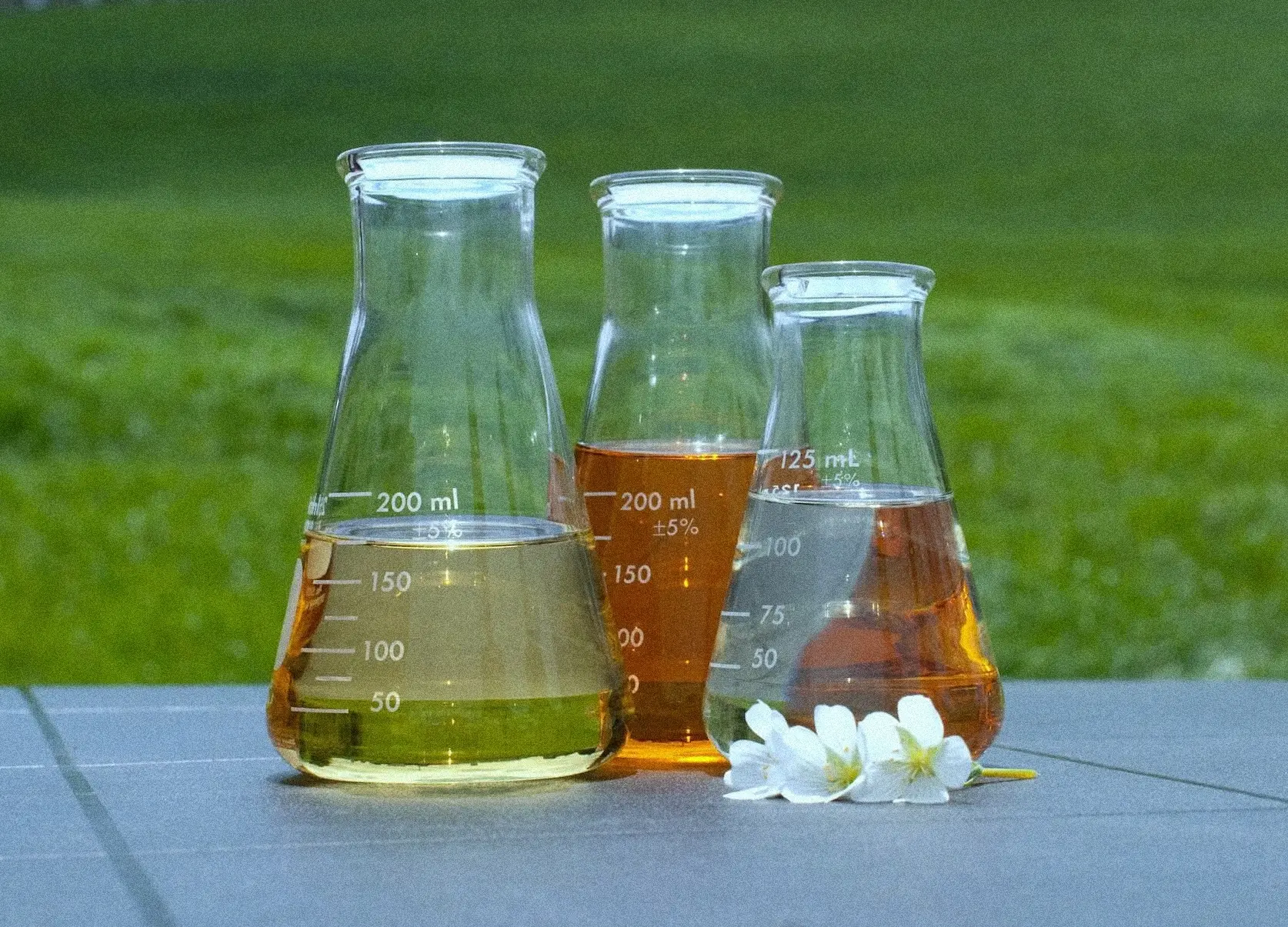 Laboratory glass flasks with natural oil formulations on outdoor table