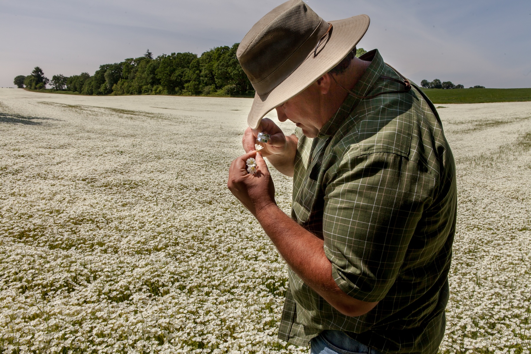Natural ingredient testing for eco-conscious cosmetic formulation