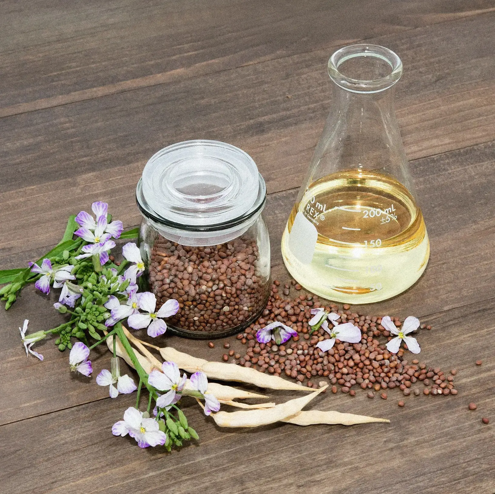 Meadowfoam seeds, flowers, and natural oil in a laboratory flask for skincare formulation