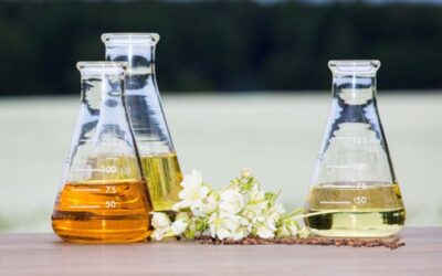 Commercial Product Roundup – What’s Trending for Meadowfoam Seed Oil?